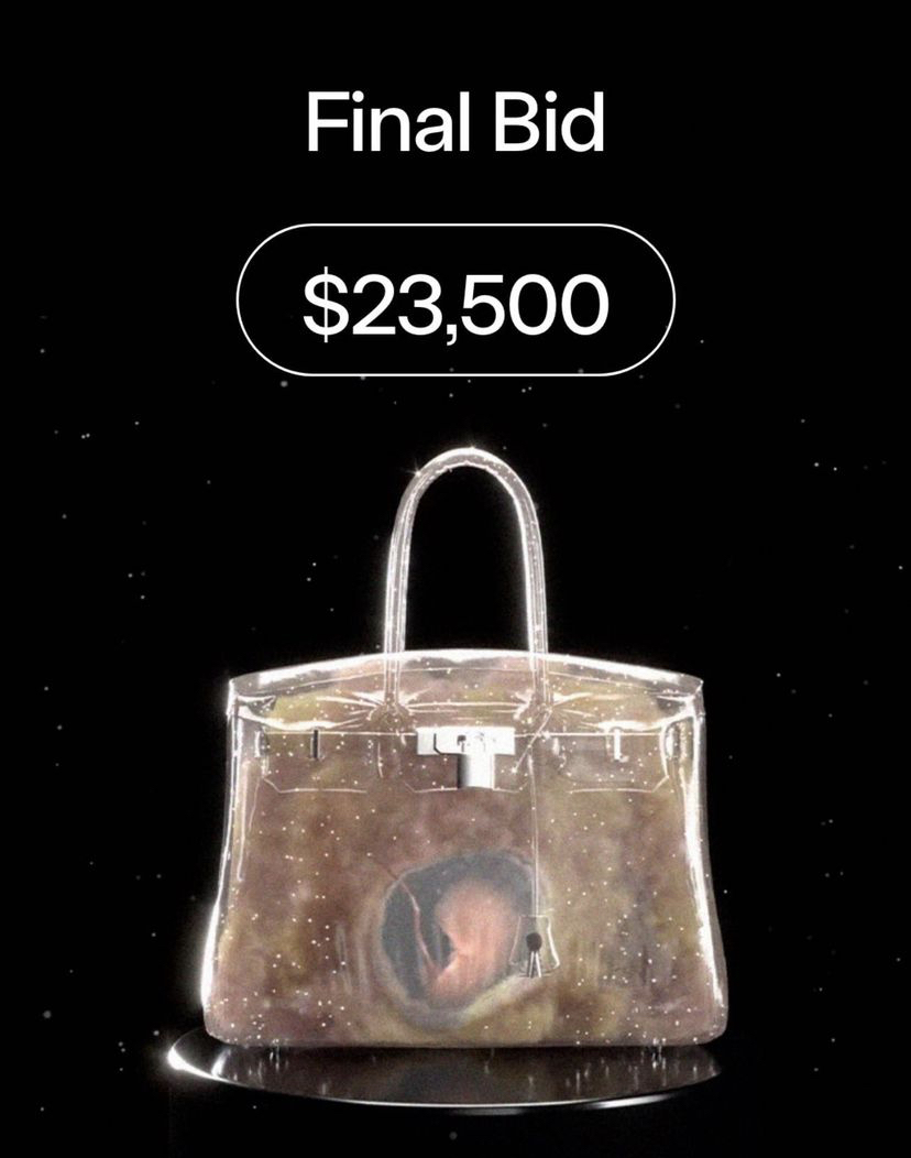 The 'Baby Birkin' NFT Just Sold for More Than the Real Thing
